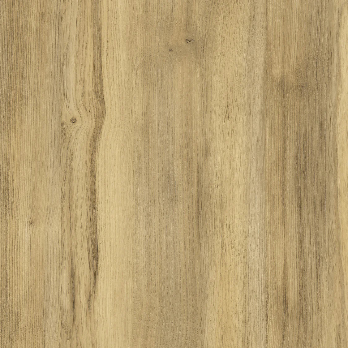 Gold Baroque Oak, 38mm Postformed Kronospan Worktop - Trade Kitchen Supplier